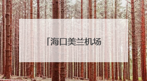 海口美兰机场加密海口至吉隆坡和香港航线