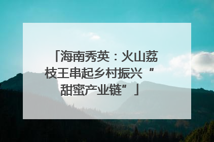 海南秀英：火山荔枝王串起乡村振兴“甜蜜产业链”