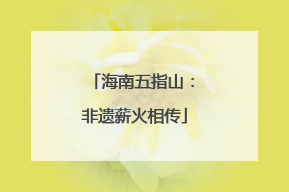 海南五指山：非遗薪火相传
