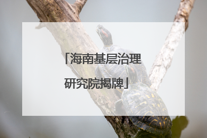 海南基层治理研究院揭牌