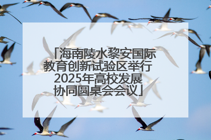海南陵水黎安国际教育创新试验区举行2025年高校发展协同圆桌会会议