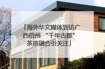 海外华文媒体到访广西梧州 “千年古郡”茶旅融合引关注