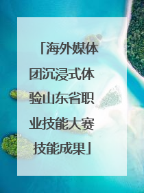 海外媒体团沉浸式体验山东省职业技能大赛技能成果
