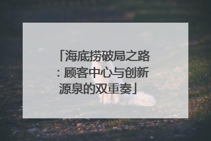 海底捞破局之路：顾客中心与创新源泉的双重奏