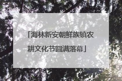 海林新安朝鲜族镇农耕文化节圆满落幕
