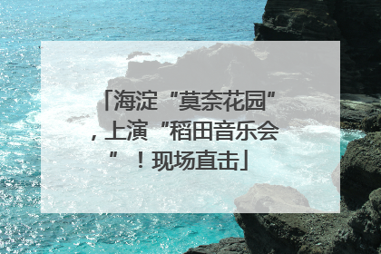 海淀“莫奈花园”，上演“稻田音乐会”！现场直击