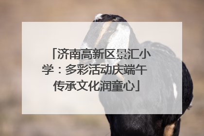 济南高新区景汇小学：多彩活动庆端午 传承文化润童心