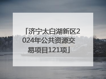 济宁太白湖新区2024年公共资源交易项目121项