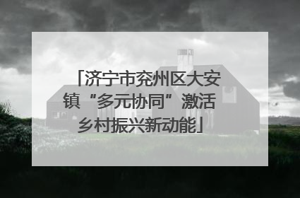济宁市兖州区大安镇“多元协同”激活乡村振兴新动能