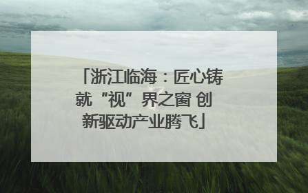 浙江临海：匠心铸就“视”界之窗 创新驱动产业腾飞