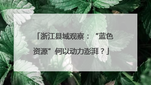 浙江县域观察：“蓝色资源”何以动力澎湃？