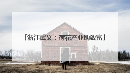 浙江武义：荷花产业助致富