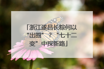 浙江遂昌长粽何以“出圈”？“七十二变”中探新路