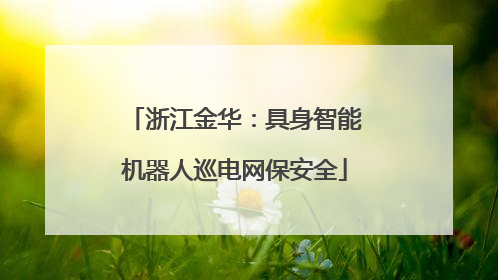 浙江金华：具身智能机器人巡电网保安全