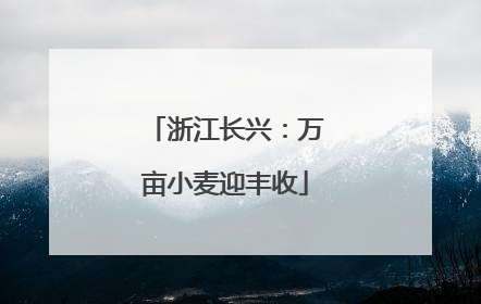浙江长兴：万亩小麦迎丰收