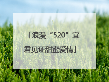 浪漫“520”宜君见证甜蜜爱情
