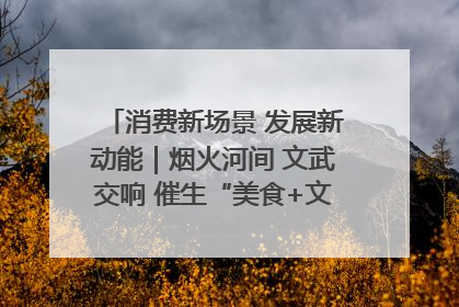 消费新场景 发展新动能｜烟火河间 文武交响 催生“美食+文化”消费新场景