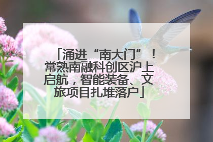 涌进“南大门”！常熟南融科创区沪上启航，智能装备、文旅项目扎堆落户