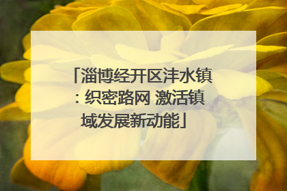 淄博经开区沣水镇：织密路网 激活镇域发展新动能