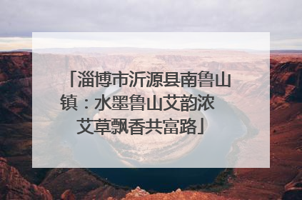 淄博市沂源县南鲁山镇：水墨鲁山艾韵浓 艾草飘香共富路