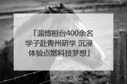 淄博桓台400余名学子赴青州研学 沉浸体验点燃科技梦想