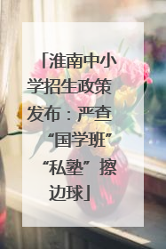 淮南中小学招生政策发布：严查“国学班”“私塾”擦边球