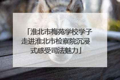 淮北市梅苑学校学子走进淮北市检察院沉浸式感受司法魅力