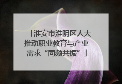 淮安市淮阴区人大推动职业教育与产业需求“同频共振”