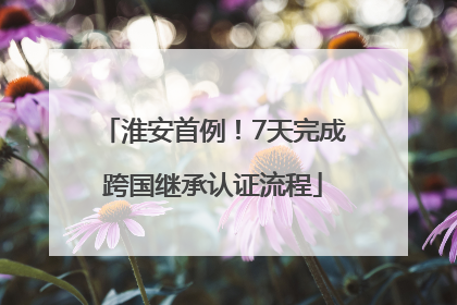 淮安首例！7天完成跨国继承认证流程