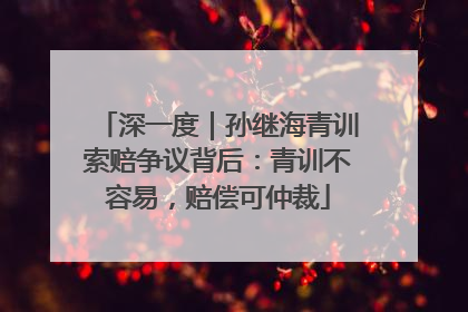 深一度｜孙继海青训索赔争议背后：青训不容易，赔偿可仲裁