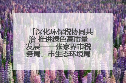 深化环保税协同共治 推进绿色高质量发展——张家界市税务局、市生态环境局签署合作备忘录