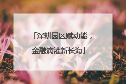 深耕园区赋动能，金融滴灌新长海