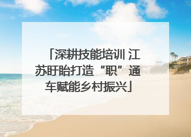 深耕技能培训 江苏盱眙打造“职”通车赋能乡村振兴