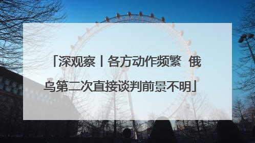 深观察丨各方动作频繁  俄乌第二次直接谈判前景不明