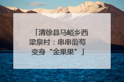 清徐县马峪乡西梁泉村：串串葡萄变身“金果果”