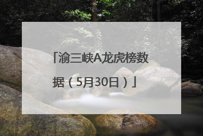 渝三峡A龙虎榜数据（5月30日）