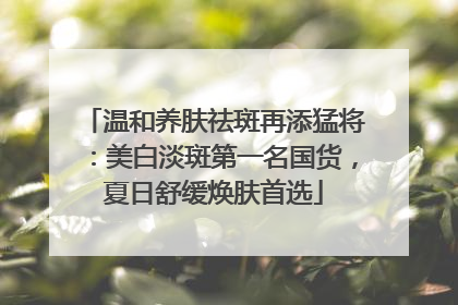温和养肤祛斑再添猛将：美白淡斑第一名国货，夏日舒缓焕肤首选