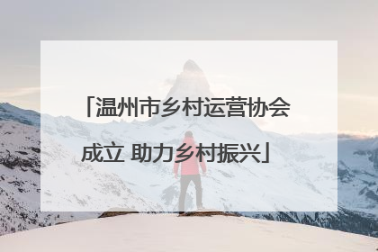 温州市乡村运营协会成立 助力乡村振兴