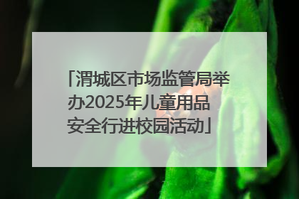 渭城区市场监管局举办2025年儿童用品安全行进校园活动