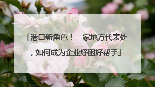 港口新角色！一家地方代表处，如何成为企业纾困好帮手