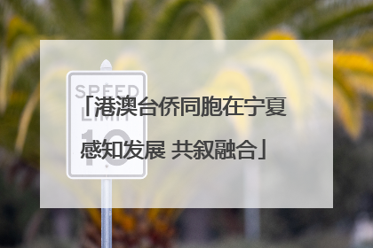 港澳台侨同胞在宁夏感知发展 共叙融合