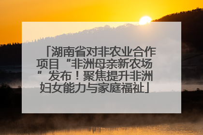 湖南省对非农业合作项目“非洲母亲新农场”发布！聚焦提升非洲妇女能力与家庭福祉