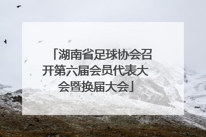 湖南省足球协会召开第六届会员代表大会暨换届大会
