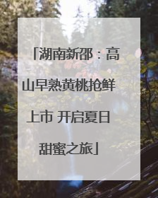 湖南新邵：高山早熟黄桃抢鲜上市 开启夏日甜蜜之旅