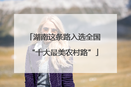 湖南这条路入选全国“十大最美农村路”