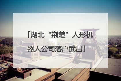 湖北“荆楚”人形机器人公司落户武昌