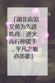 湖北省见义勇为先进陈伟：逆火而行伸援手，平凡之躯亦英雄