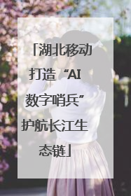 湖北移动打造“AI数字哨兵”护航长江生态链