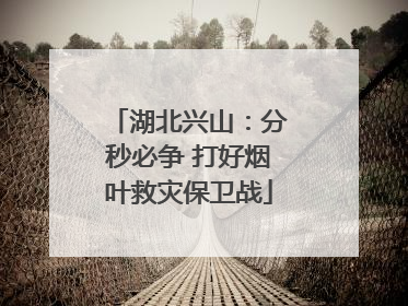 湖北兴山：分秒必争 打好烟叶救灾保卫战