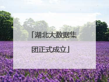 湖北大数据集团正式成立